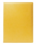 FOLDER FOR THE CONFERENCE