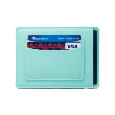 CASE FOR PASSPORT ROMA F144 PASTEL MINT