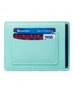 CASE FOR PASSPORT ROMA F144 PASTEL MINT