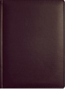 ЕЖЕДНЕВНИК&ЕЖЕНЕДЕЛЬНИК В5 2022 КРЕМОВЫЙ БЛОК